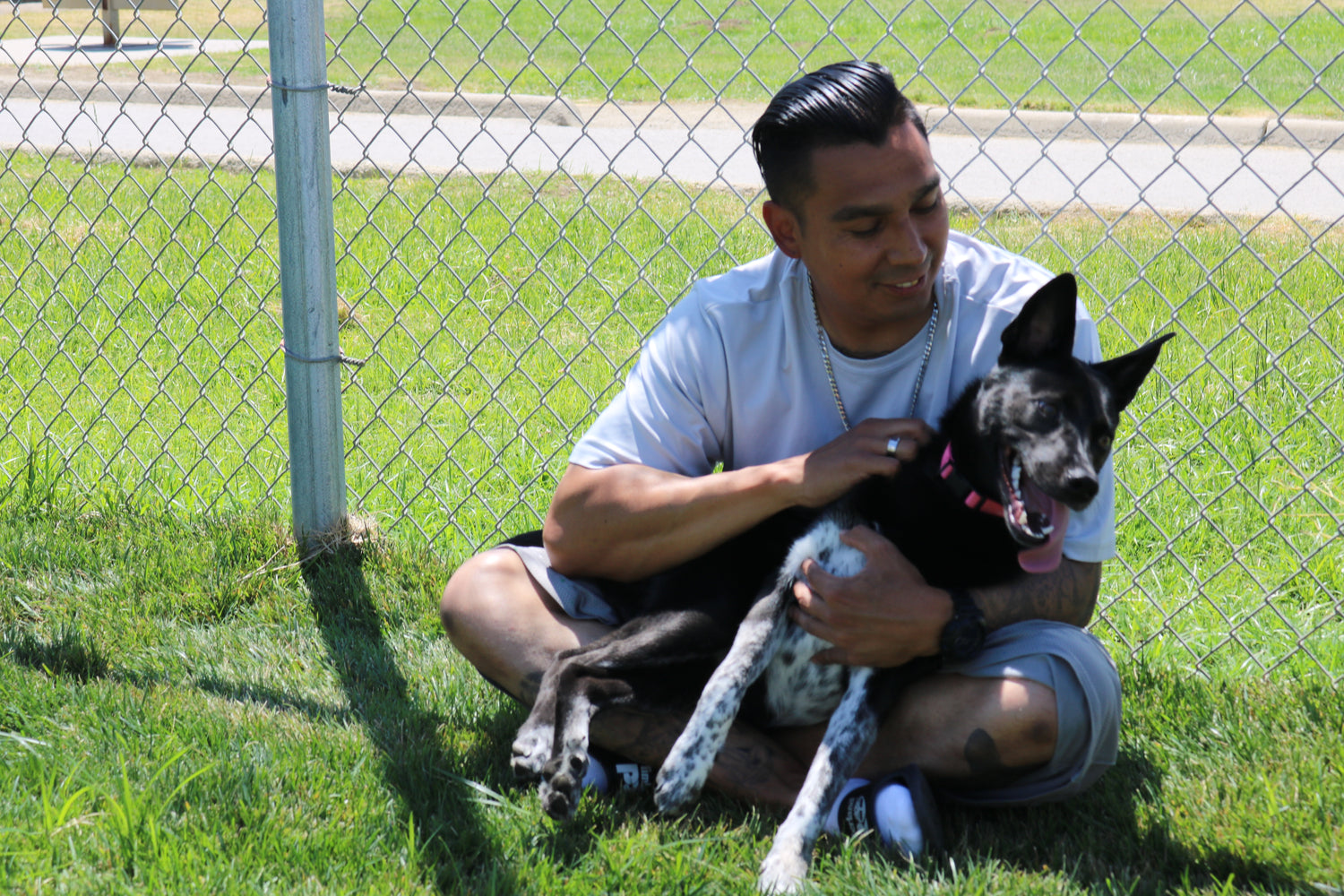 Man sitting on grass with a black dog, both in front of a chain-link fence.