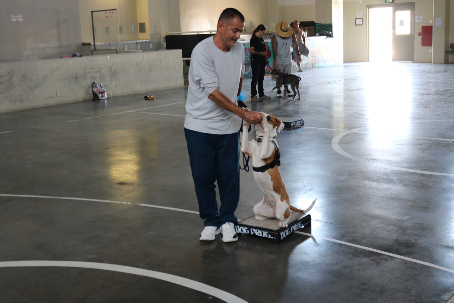 Man with a dog on a platform in an indoor setting