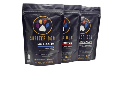 Three black coffee bags with 'Shelter Dog' branding on a white background