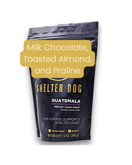 Wiley's Wish - Guatemala - Medium/Dark Roast
