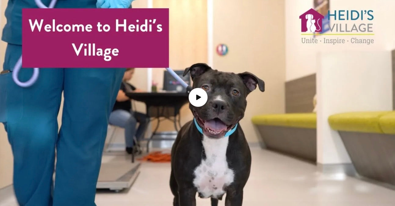 Load video: A tour of Heidi&#39;s Village