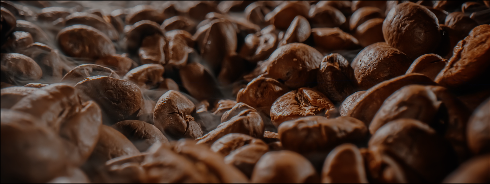 roasted coffee beans close-up